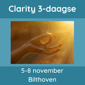 Clarity proces workshop November 2026