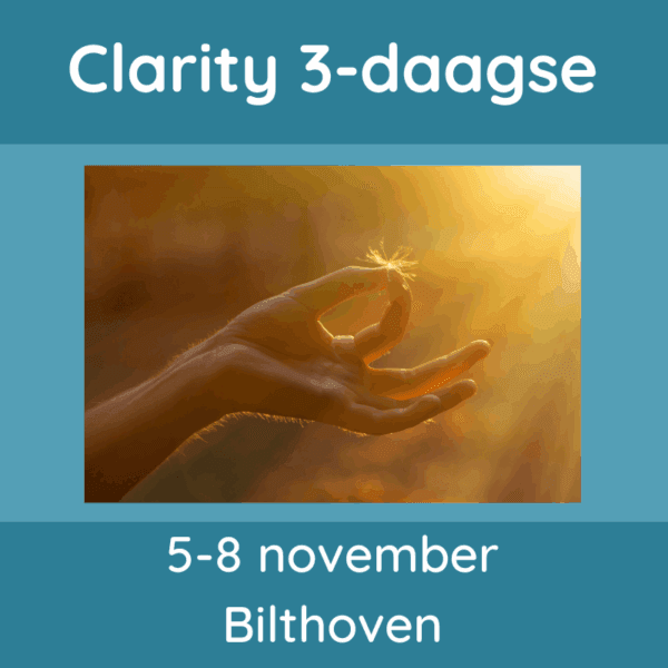 Clarity proces workshop November 2026
